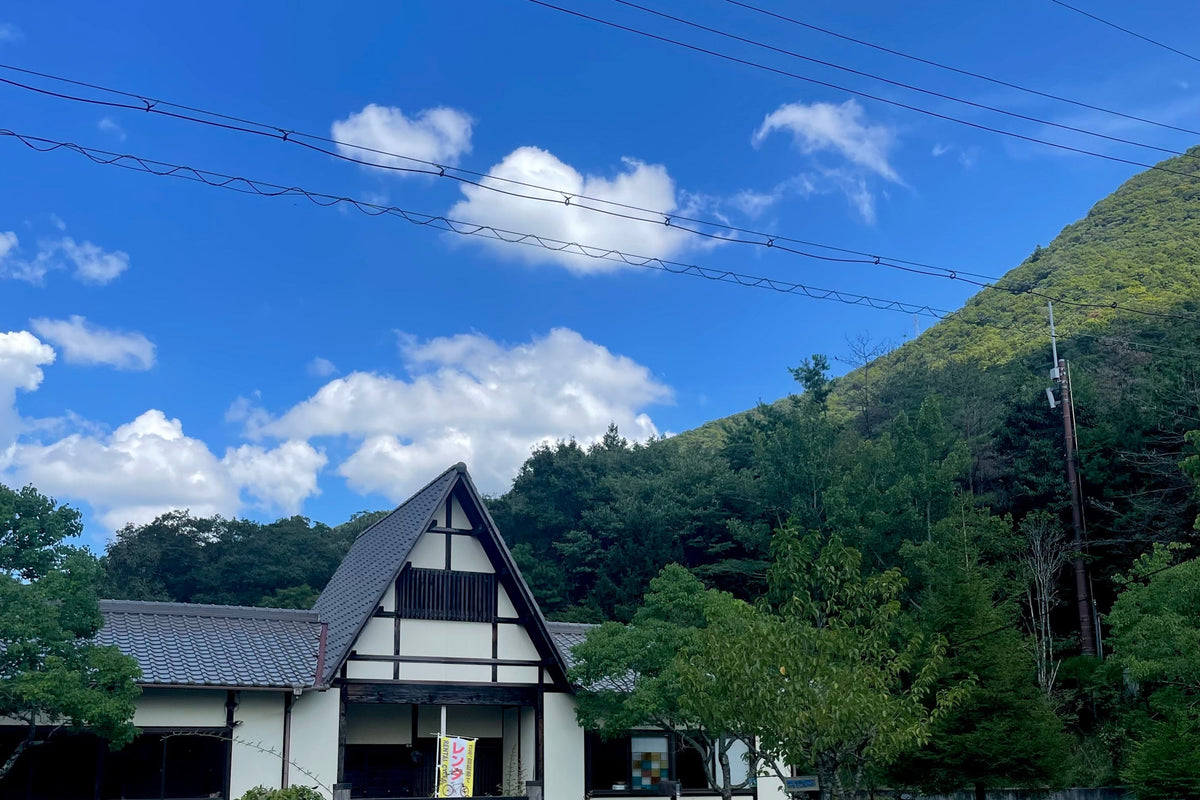 Why Japanese Culture, Why Now?