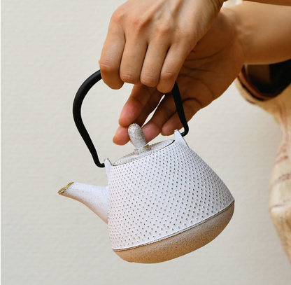 Nanbu Ironware Teapot | Fuji-style Arrow