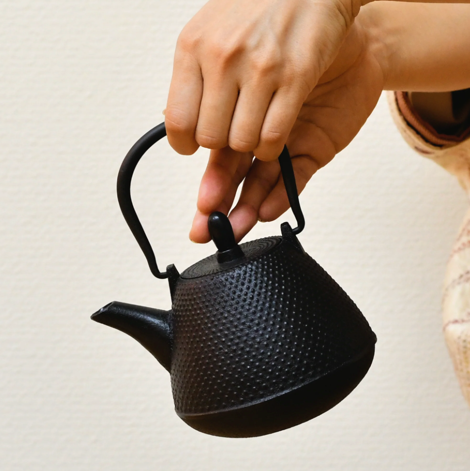 Nanbu Ironware Teapot | Fuji-style Arrow